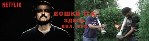 крисы Михайловск