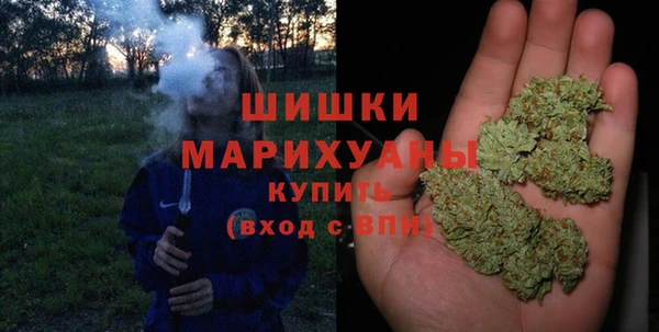 крисы Михайловск