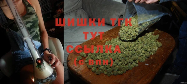 крисы Михайловск