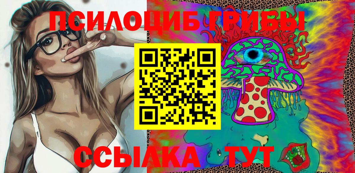 Галлюциногенные грибы Cubensis  Знаменск 