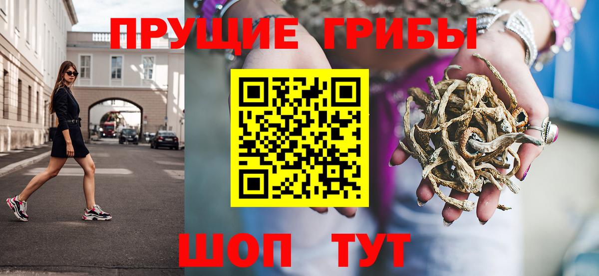 Знаменск  Галлюциногенные грибы ЛСД  Псилоцибиновые грибы Psilocybine cubensis  Вход с VPN 